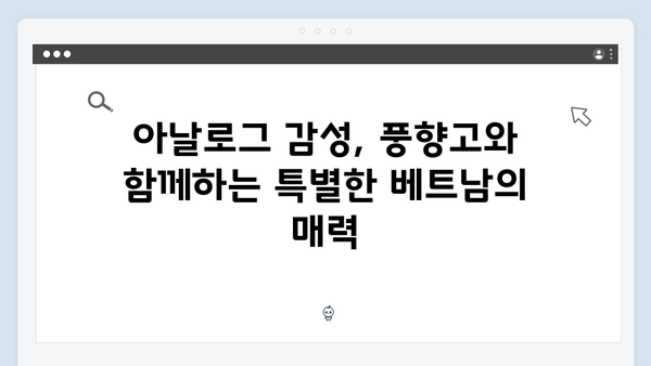 풍향고와 함께 떠나는 아날로그 감성 베트남 여행 완벽 가이드