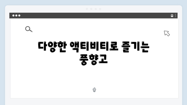2024 베트남 여행 인기 액티비티 - 풍향고 체험기