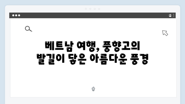 2024 최신 베트남 여행 필수코스, 풍향고가 간 곳 따라하기