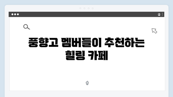 베트남 하노이 카페투어 - 풍향고 멤버들이 찾은 힐링스팟