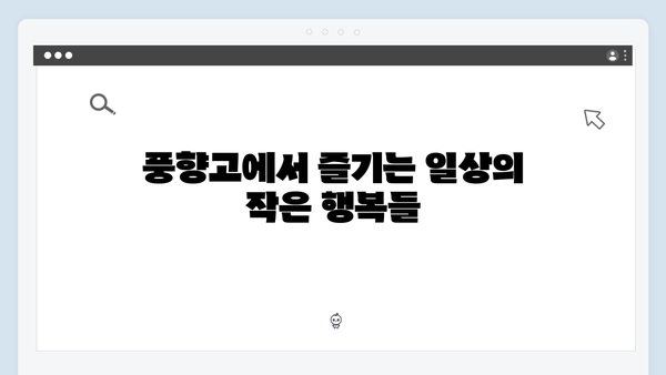 베트남 여행 한 달 살기 - 풍향고 스타일 로컬 체험기
