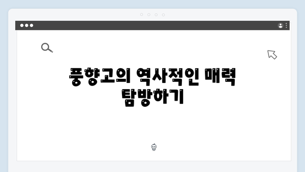 2024 베트남 여행 필수코스, 풍향고에서 소개된 명소는 어디?