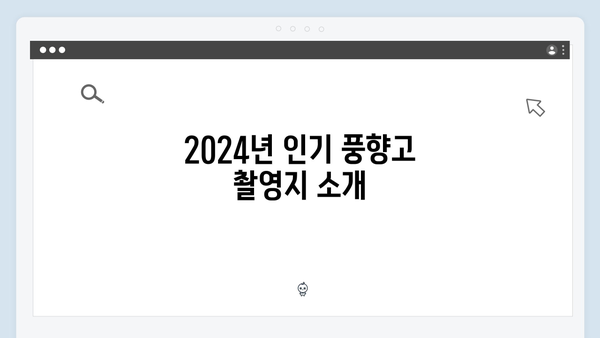 2024 베트남 여행 트렌드! 풍향고 촬영지로 떠나는 감성여행