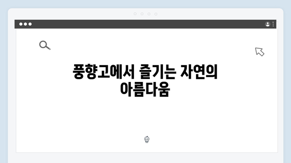하노이 야경 명소부터 사파 트레킹까지, 풍향고 따라가는 완벽 일정