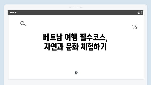 2024 최신 베트남 여행 필수코스, 풍향고가 간 곳 따라하기