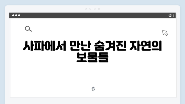 하노이 야경부터 사파 자연까지, 유재석과 황정민의 여정을 따라가자!