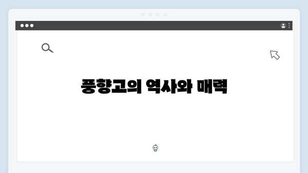 2024 베트남 여행 필수 코스 - 풍향고 완벽 따라잡기