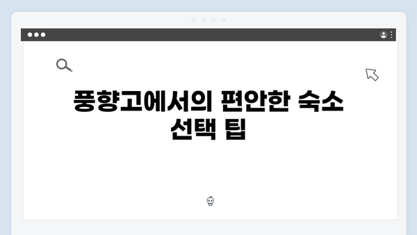 2024 베트남 여행 필수코스 - 풍향고 완벽일정