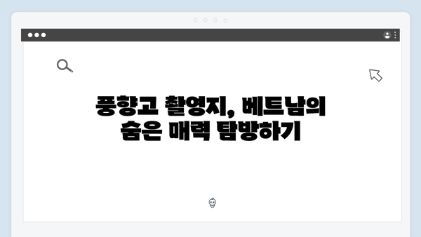 풍향고 촬영지 따라 떠나는 2024 베트남 인기 여행 코스 추천
