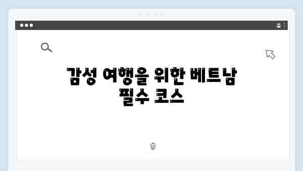 2024 베트남 여행 트렌드! 풍향고 촬영지로 떠나는 감성여행