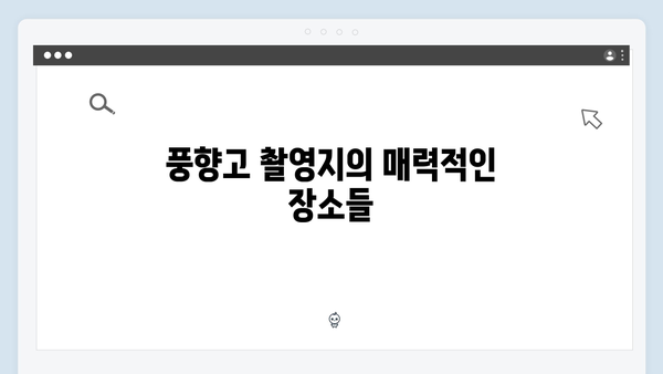 2024 베트남 여행 신상 명소 - 풍향고 촬영지 따라가기