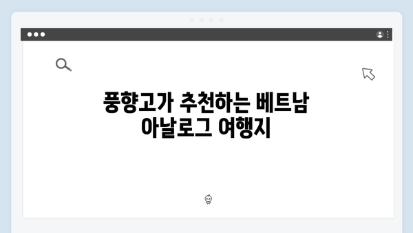 풍향고 멤버들과 떠나는 아날로그 감성 가득한 베트남 여행 루트