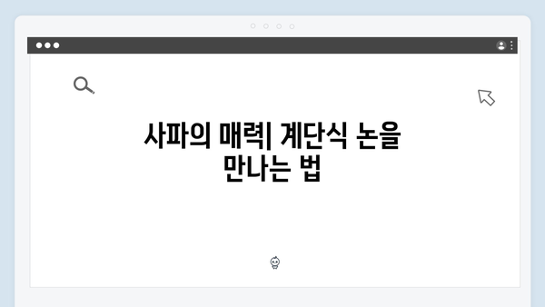 사파 계단식 논 투어 - 풍향고 촬영지 완벽 가이드