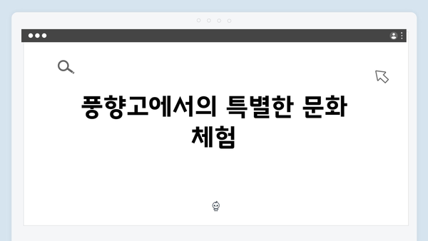2024 베트남 여행 인기 액티비티 - 풍향고 체험기