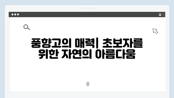베트남 사파 트레킹 초보자도 가능한 풍향고 여행 루트