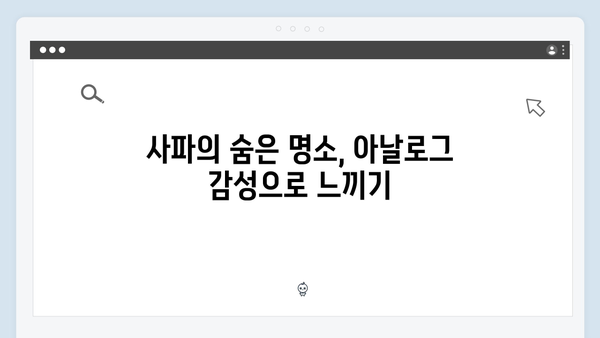 하노이에서 사파까지, 풍향고 멤버들의 아날로그 감성 여행 꿀팁 대방출