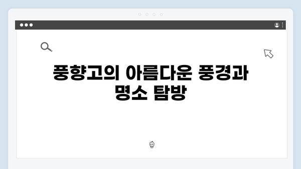 2024 베트남 자유여행 꿀팁 - 풍향고 촬영지 따라가기