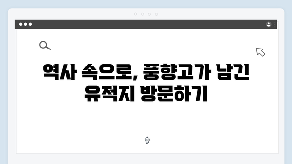 2024 최신 베트남 여행 필수코스, 풍향고가 간 곳 따라하기