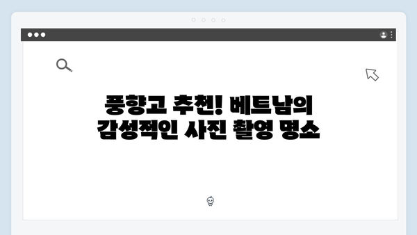풍향고와 함께 떠나는 아날로그 감성 베트남 여행 완벽 가이드