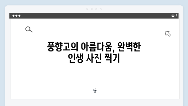 2024년 최신 트렌드 반영! 풍향고 촬영지로 떠나는 베트남 여행법