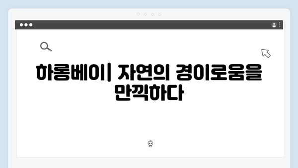 [2024 베트남 여행 특집] 유재석X황정민의 풍향고 여행지 완벽 가이드 - 하노이부터 사파까지