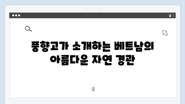 2024 베트남 여행 필수코스! 풍향고 멤버들의 추천 명소