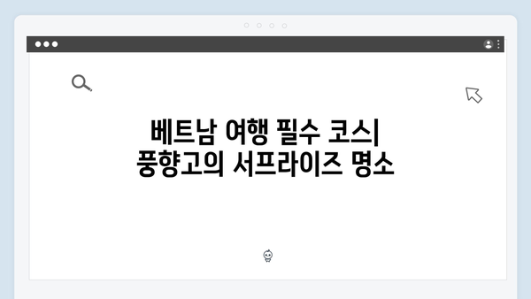 풍향고 멤버들이 사랑한 베트남 맛집과 현지 체험 리스트 공개!