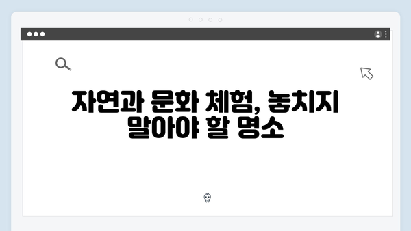 베트남 여행 꿀팁 모음 - 풍향고 멤버들의 노하우