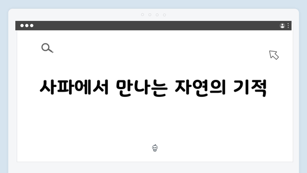 하노이 야경 명소부터 사파 트레킹까지, 풍향고식 여행법 대공개!