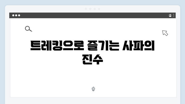 하노이 야경 명소부터 사파 트레킹까지, 풍향고식 여행법 대공개!