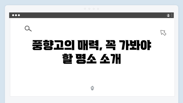 2024 베트남 여행 필수코스 - 풍향고 완벽일정