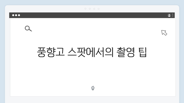 사파 계단식 논 촬영 포인트 | 풍향고 스팟
