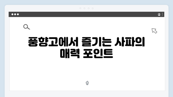 [사파 여행] 계절별 베스트 시즌 - 풍향고 시즌 가이드
