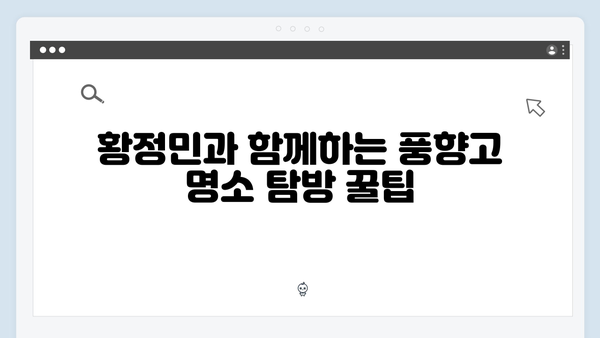 황정민과 유재석의 특별한 여정, 풍향고 속 명소 탐방 가이드