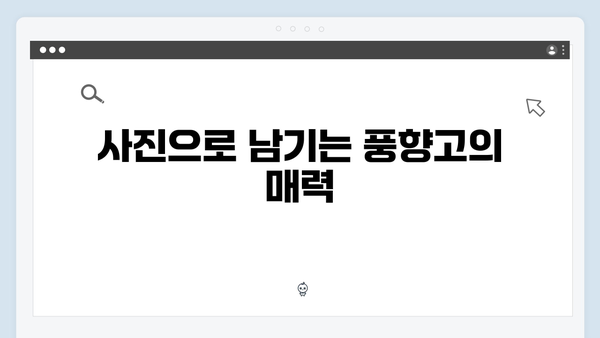 2024 베트남 여행 트렌드! 풍향고 촬영지로 떠나는 감성여행