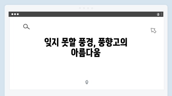 2024 베트남 여행 신상 명소 - 풍향고 촬영지 따라가기