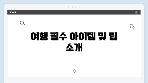 2024 베트남 여행 인기 액티비티 - 풍향고 체험기