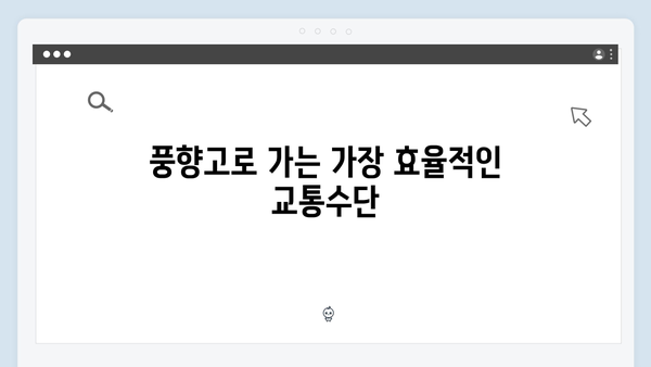 풍향고 촬영지로 떠나는 2024 베트남 자유여행 플랜 짜기