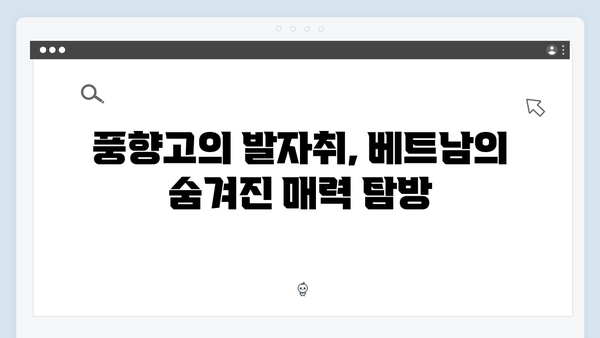 2024 최신 베트남 여행 필수코스, 풍향고가 간 곳 따라하기