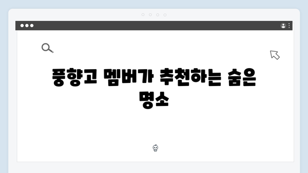2024 베트남 여행 신상 명소 - 풍향고 멤버들의 발견