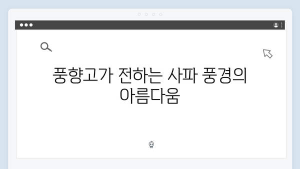 풍향고 멤버들의 리얼 후기로 본 사파 야간열차 체험기 대공개!