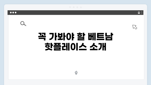 2024 베트남 MZ 여행 트렌드 - 풍향고 스타일 따라잡기