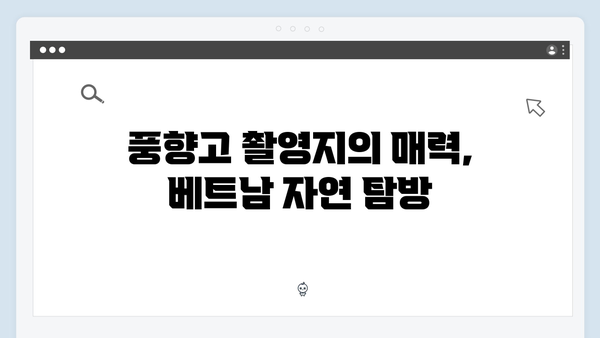 풍향고 촬영지 따라 떠나는 2024 베트남 자유여행 플랜