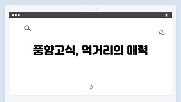 하노이 야경 명소부터 사파 트레킹까지, 풍향고식 여행법 대공개!