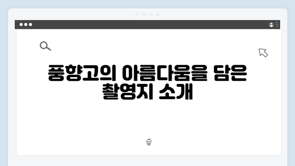 풍향고 촬영지로 떠나는 아날로그 감성 베트남 여행 루트