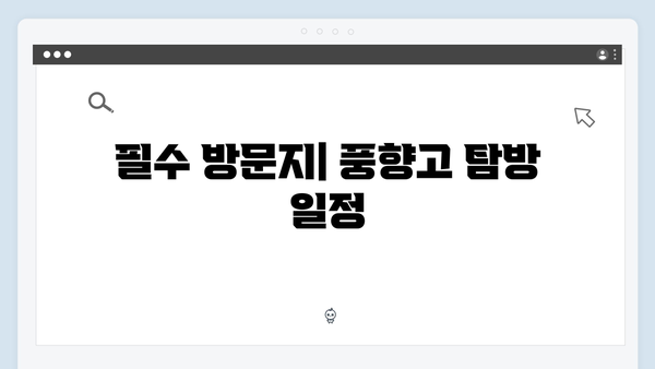2024 베트남 여행 필수 코스 - 풍향고 완벽 따라잡기