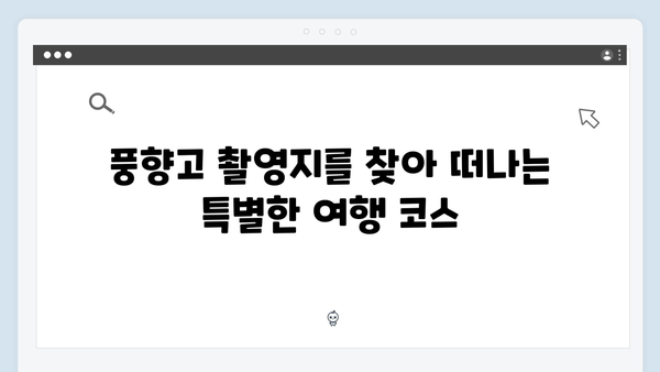 2024년 최신 트렌드 반영! 풍향고 촬영지로 떠나는 베트남 여행법