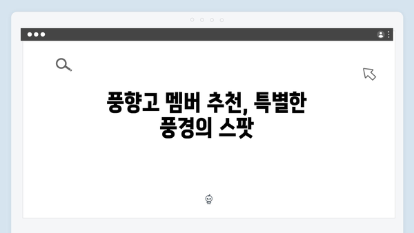 하노이 야경 명소 TOP 5, 풍향고 멤버들이 인증한 스팟은?