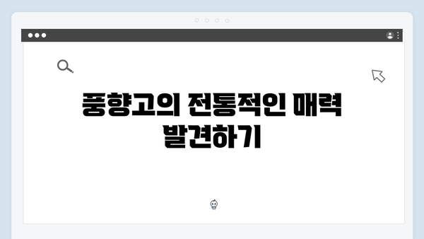 2024 베트남 여행 인기 액티비티 - 풍향고 체험기