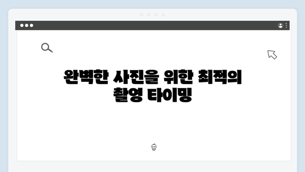 [2024 베트남] 사파 선셋 포인트 완벽 가이드